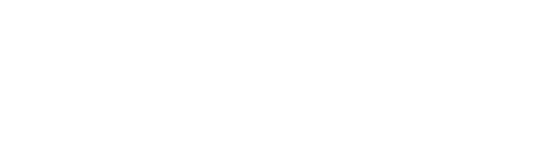 Logo PLANIT weiß